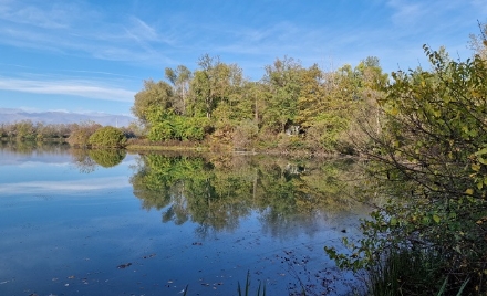 BORGARO - Grazie all'Oipa e al Pan, nuova vita per il lago del Villaretto, l'ex Isola del Pescatore