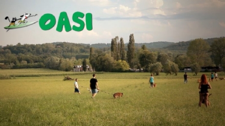 ALPIGNANO - Chi trova un amico a 4 zampe trova un tesoro: all'Oasi un rifugio e pensione immerso nella natura