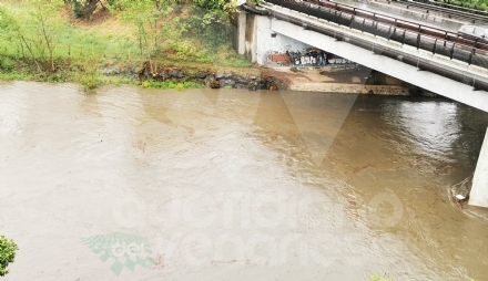 VENARIA - Pioggia in città: il Ceronda torna ad essere colmo d'acqua - FOTO