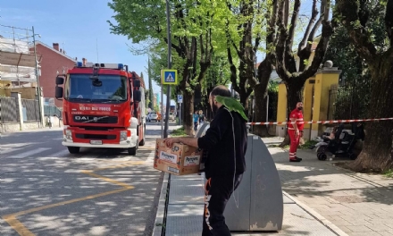 DRUENTO - Pappagallo scappa di casa: ritrovato e salvato dai vigili del fuoco - FOTO