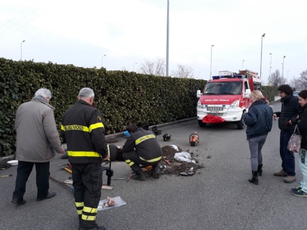 CASELLE - Tre cani incastrati in un tubo rischiano di morire: salvati dai vigili del fuoco - FOTO