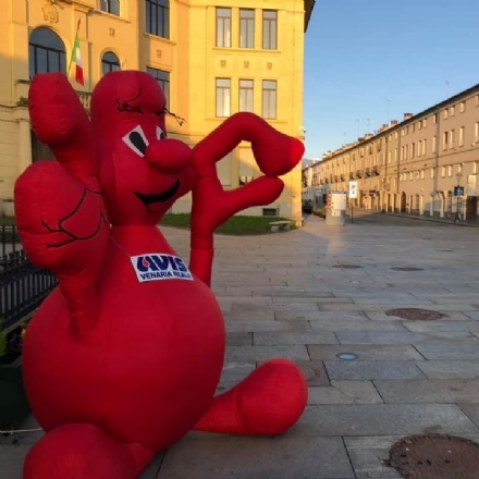 VENARIA - Venerdì 15 nuova donazione di sangue collettiva per l’Avis