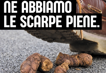 INCIVILI A GRUGLIASCO - Cacche dei cani davanti all'ingresso del Municipio. L'assessore: «Ora basta!»