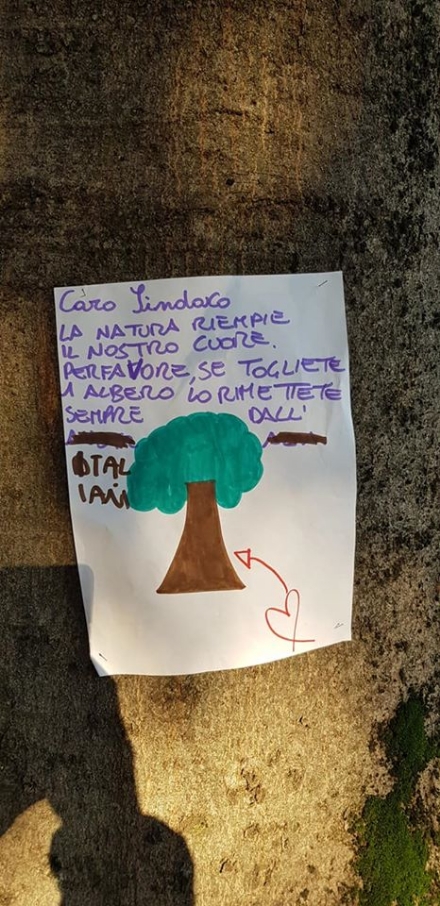 VENARIA - Cartelli e disegni per dire «no» all'abbattimento degli alberi in via Amati