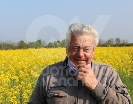 COLLEGNO - La città dice addio a Oreste Dentis, «il custode» dei campi di girasole di viale Certosa