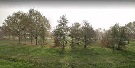 MAPPANO - Nuova vita per il parco Unione Europea: un'area ludica, una pic-nic, un parcheggio e le telecamere