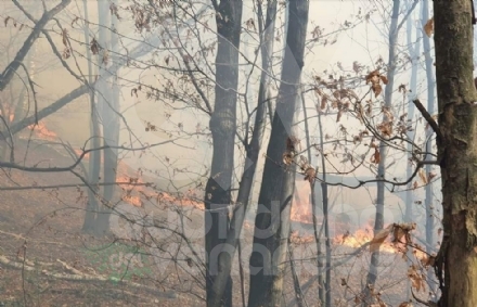 INCENDI BOSCHIVI - La Regione dichiara la fine dello «stato di massima pericolosità»