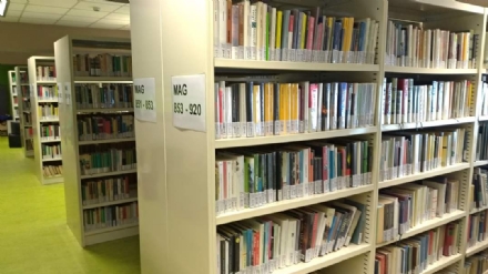CULTURA - Prestito libri «sulla soglia» per le biblioteche di Venaria, Alpignano, Druento, Collegno e Rivoli