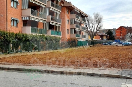 VENARIA - Degrado delle aree private: prime pulizie e nuove lettere d'intimazione - FOTO