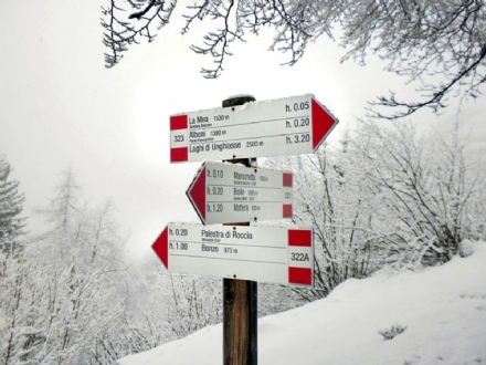 Legno, alluminio, metalli e pietra: l'importanza della segnaletica ambientale e turistica - FOTO