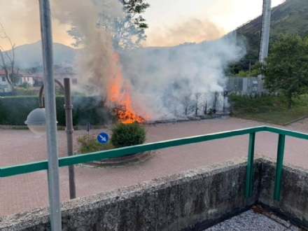 GIVOLETTO - Teppisti in azione: bruciata una siepe dietro al Municipio