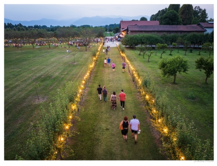 VENARIA - Anche a Ferragosto, Reggia meta turistica: oltre 2mila visitatori. 20mila da inizio mese