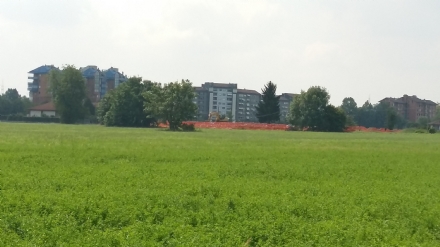 VENARIA - Via libera alla Variante 15: 1.300 alloggi fra via Petrarca, via Don Sapino e corso Machiavelli