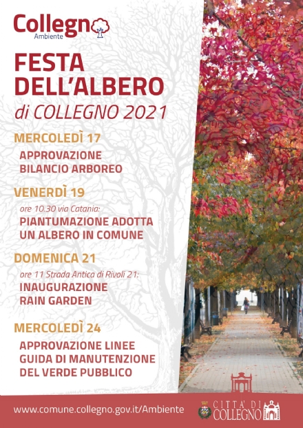 COLLEGNO - «Giornata nazionale degli alberi»: in via Catania messi a dimora gli alberi adottati dai dipendenti comunali