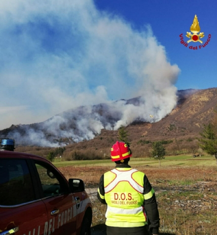 MONTE MUSINÈ - Dopo gli incendi del 2021, Città Metropolitana dà avvio alla rigenerazione boschiva