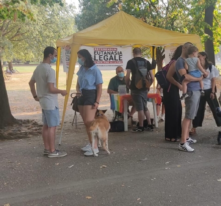 COLLEGNO - L'Associazione «Luca Coscioni» a «Collegno In Bancarella» per parlare di fine vita e diritti civili