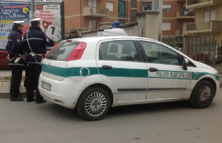 RIVOLI - Paga l'assicurazione dell'auto su internet ma è una truffa: denunciato un 21enne di Caserta