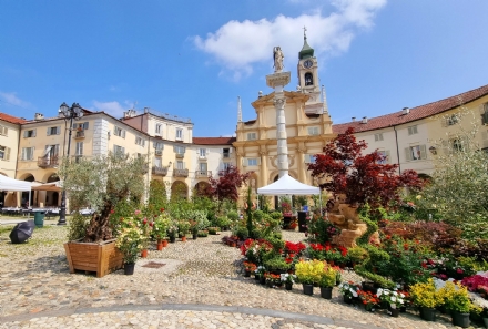 VENARIA - Torna la Festa delle Rose: il programma di sabato 18 e domenica 19 maggio