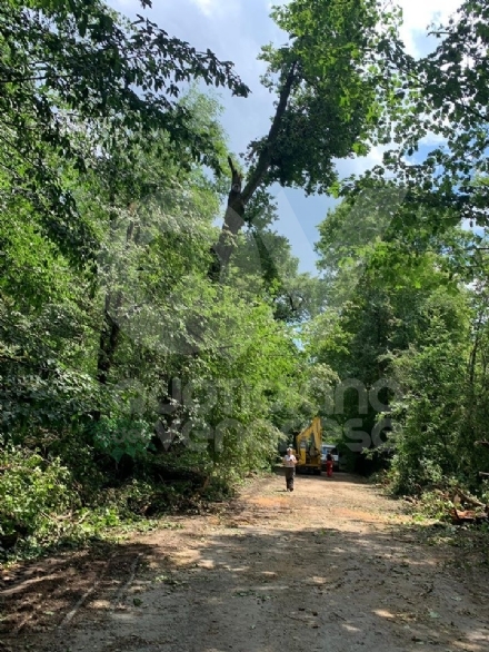 PARCO MANDRIA - Dopo il nubifragio, si lavora per la riapertura del fine settimana