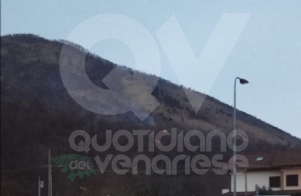 CAFASSE - A fuoco l'area boschiva del Monte Basso: potrebbe essere doloso