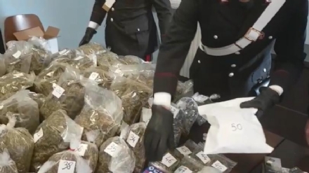 VAL DELLA TORRE - Cani e telecamere per difendere 12 chili di droga: 25enne arrestato