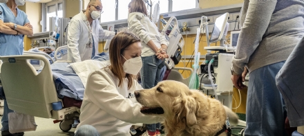 RIVOLI - In Rianimazione arrivano due «dottori speciali»: i cani Golden Retriever