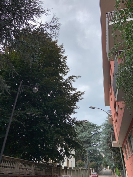RIVOLI - Nuova illuminazione pubblica nelle vie Vecco, Tenda e Bonadonna