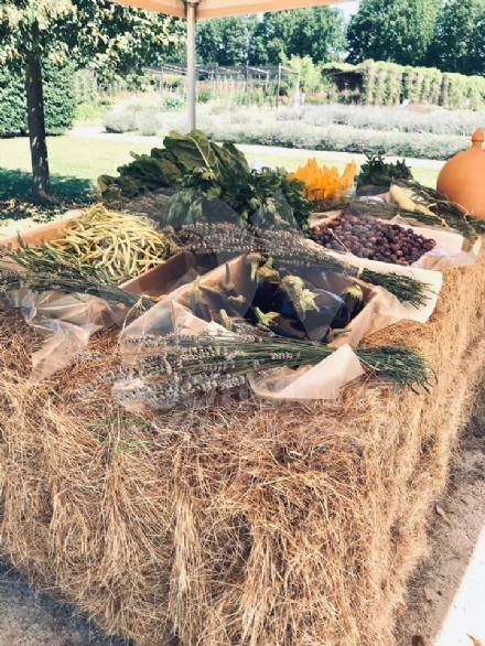 VENARIA - Nuova iniziativa alla Reggia: visiti i Giardini e porti a casa frutta e verdura