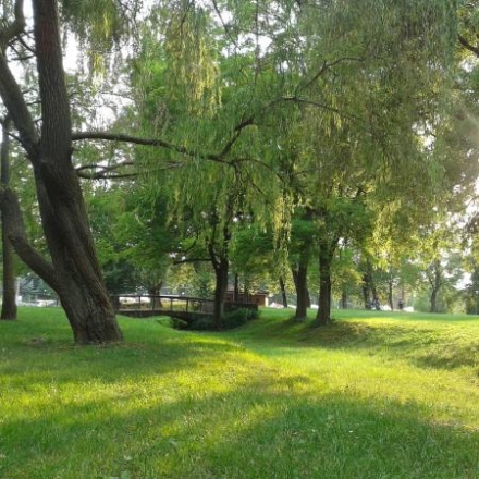 TRAGEDIA - Si impicca ad un albero: muore suicida una studentessa di soli 15 anni