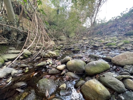 PIANEZZA - Rio Fellone, nella primavera 2024 i lavori di mitigazione del rischio idraulico»