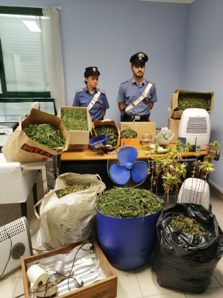 MATHI - Venti chili di marijuana e tre piantagioni: i carabinieri arrestano un 55enne