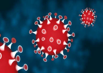 CORONAVIRUS - Bollettino delle 19 - I guariti salgono a 10, diciassette i decessi