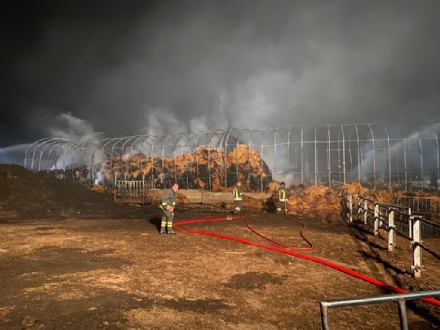 SAVONERA - Dopo l'incendio al fienile, la solidarietà di Coldiretti: «Siamo a disposizione» - FOTO