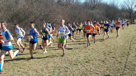 VENARIA - Domani al Salvo d'Acquisto torna il «Cross Reale», alla decima edizione