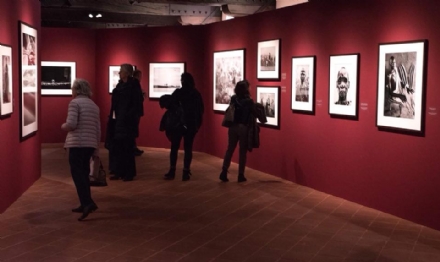 VENARIA - Sebastião Salgado in mostra alla Reggia fino al 16 settembre con «Genesi»