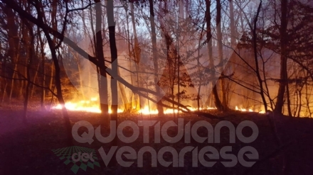 DRUENTO - Incendio boschivo in strada Rive: roghi spenti da pompieri, Aib e Protezione Civile