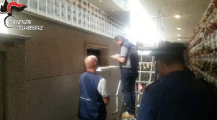 RIVOLI-GRUGLIASCO - Gettavano rifiuti negli ossari dei cimiteri: denunciato il titolare di una cooperativa