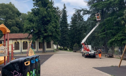 RIVOLI - Più sicurezza nella zona dei giardini Turati: sostituite le lampade non funzionanti