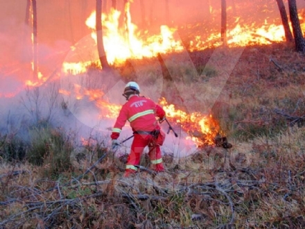 INCENDI BOSCHIVI - La Regione dichiara lo «stato di massima pericolosità»