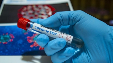 CORONAVIRUS - Bollettino: 24.178 guariti, 1.366 in via di guarigione, 5 morti, +20 positivi