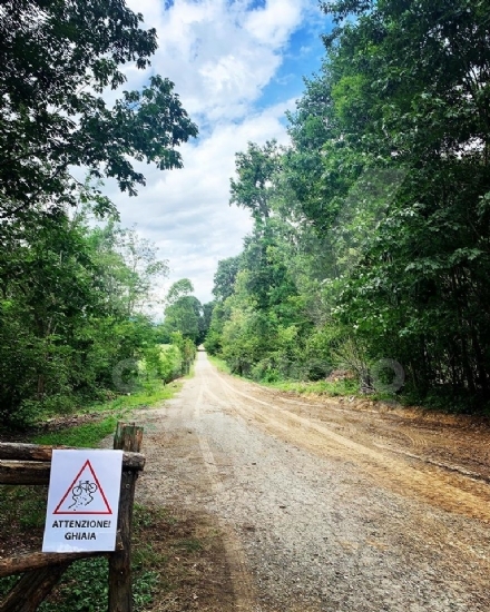 PARCO MANDRIA - Riaperto il Viale dei Roveri: era chiuso da oltre un mese, causa nubifragio