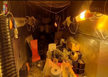 FIANO - Nel capannone si coltivava la cannabis: tre arresti e 800 piante sequestrate