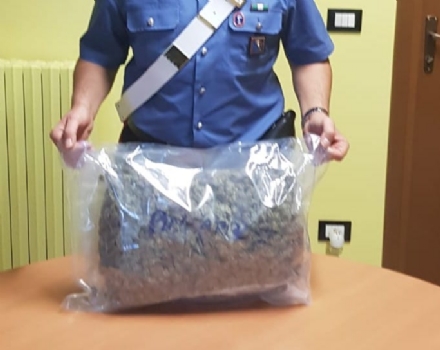ALPIGNANO - Oltre un chilo di marijuana sul sedile posteriore dell'auto: 22enne in manette
