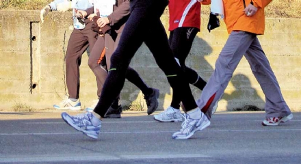 COLLEGNO - Al parco Generale Carlo Alberto Dalla Chiesa partono i corsi di fitwalking