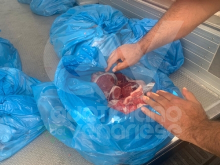 RIVOLI - 200 chili di carne, in sacchetti per l'immondizia, dentro al furgone: mille euro di multa