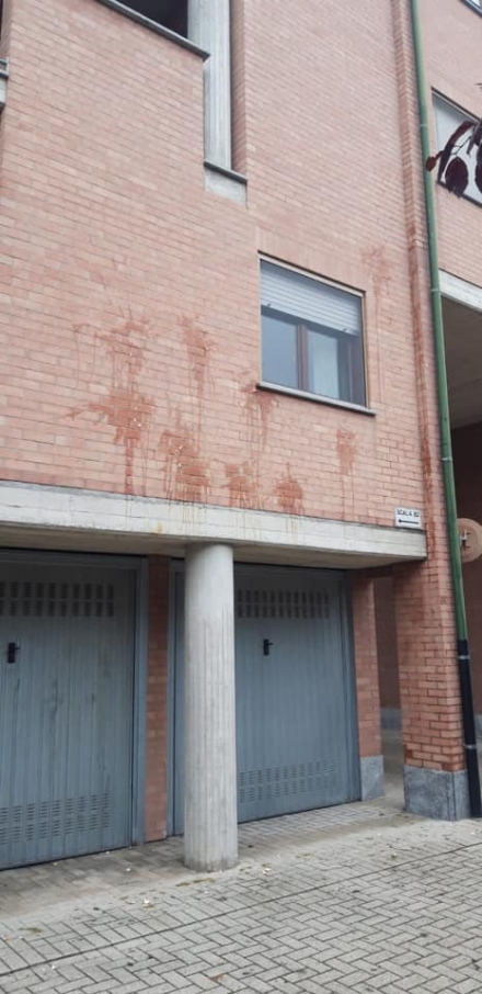 CASELLE-MAPPANO - Vandali in azione la notte di Halloween: torna il raid delle uova