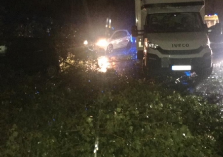 MALTEMPO - Furgone colpito da un albero in tangenziale: donna ferita. Forti danni in diverse cittadine