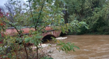 MALTEMPO - PARCO LA MANDRIA: Domenica non aprirà alle 8: «Monitoreremo la situazione»
