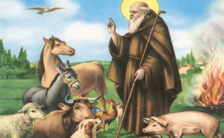 VENARIA-DRUENTO-SAN GILLIO - Si festeggia Sant'Antonio Abate: tutti i programmi