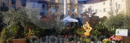 VENARIA - Scocca l'ora della «Festa delle Rose» e di «Fragranzia»: IL PROGRAMMA